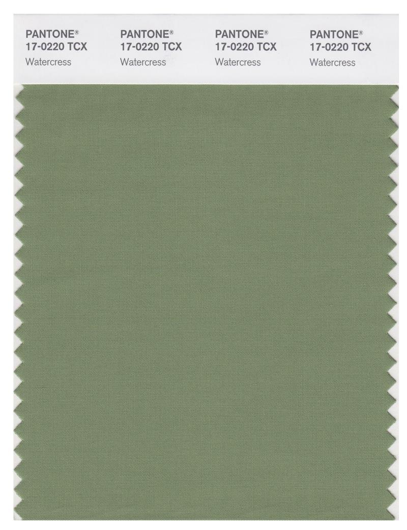 Pantone Smart 17-0220 TCX Color Swatch Card | Watercress