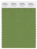 Pantone Smart 17-0230 TCX Color Swatch Card | Forest Green