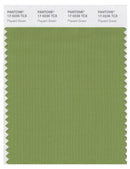 Pantone Smart 17-0235 TCX Color Swatch Card | Piquant Green