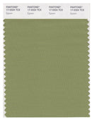 Pantone Smart 17-0324 TCX Color Swatch Card | Epsom
