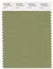 Pantone Smart 17-0324 TCX Color Swatch Card | Epsom