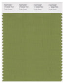 Pantone Smart 17-0330 TCX Color Swatch Card | Turtle Green