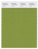 Pantone Smart 17-0336 TCX Color Swatch Card | Peridot