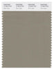 Pantone Smart 17-0510 TCX Color Swatch Card | Silver Sage