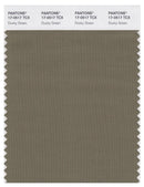Pantone Smart 17-0517 TCX Color Swatch Card | Dusky Green