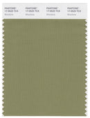 Pantone Smart 17-0525 TCX Color Swatch Card | Mosstone