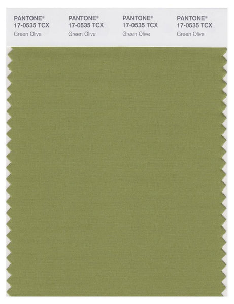 PANTONE 色見本 FASHION,,INTERIORS Pantone Smart 17-0535 TCX Color Swatch Card | Green Olive