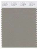 Pantone Smart 17-0610 TCX Color Swatch Card | Laurel Oak