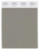 Pantone Smart 17-0610 TCX Color Swatch Card | Laurel Oak