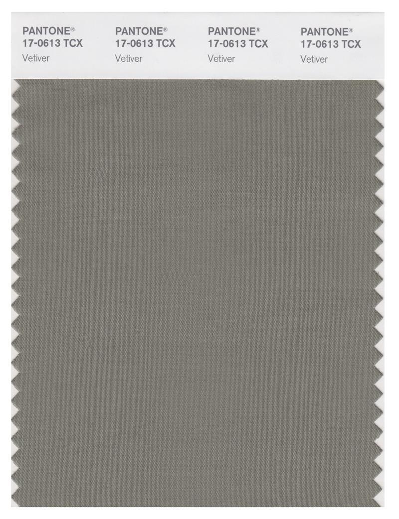 Pantone Smart 170613 TCX Color Swatch Card Vetiver Magazine Cafe