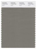 Pantone Smart 17-0613 TCX Color Swatch Card | Vetiver
