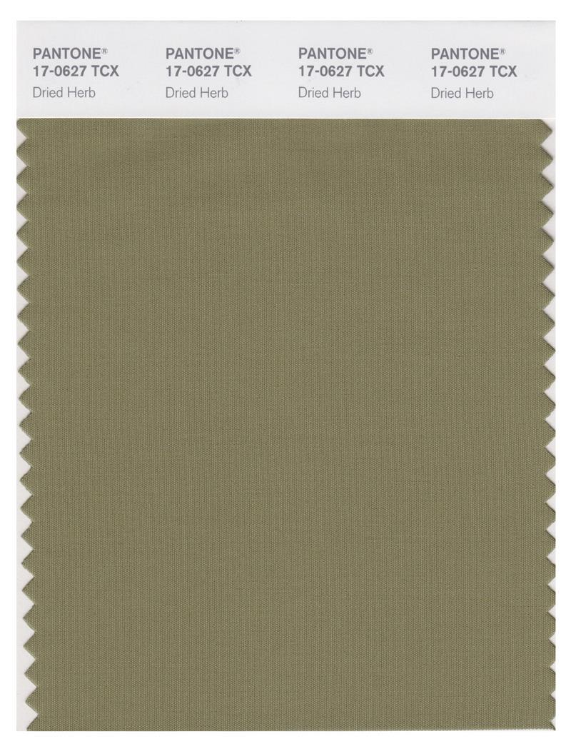 dried tobacco pantone BUY Cotton Swatch 18-0835 ply presentation in a hermetically sealed UV protective envelope | Pantone