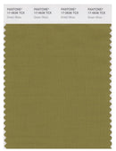 Pantone Smart 17-0636 TCX Color Swatch Card | Green Moss