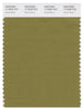 Pantone Smart 17-0636 TCX Color Swatch Card | Green Moss