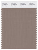 Pantone Smart 17-0808 TCX Color Swatch Card | Taupe Gray