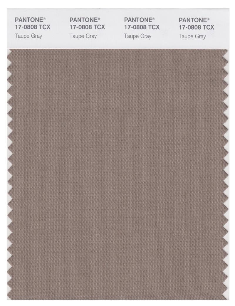 Pantone Smart 17-0808 TCX Color Swatch Card | Taupe Gray