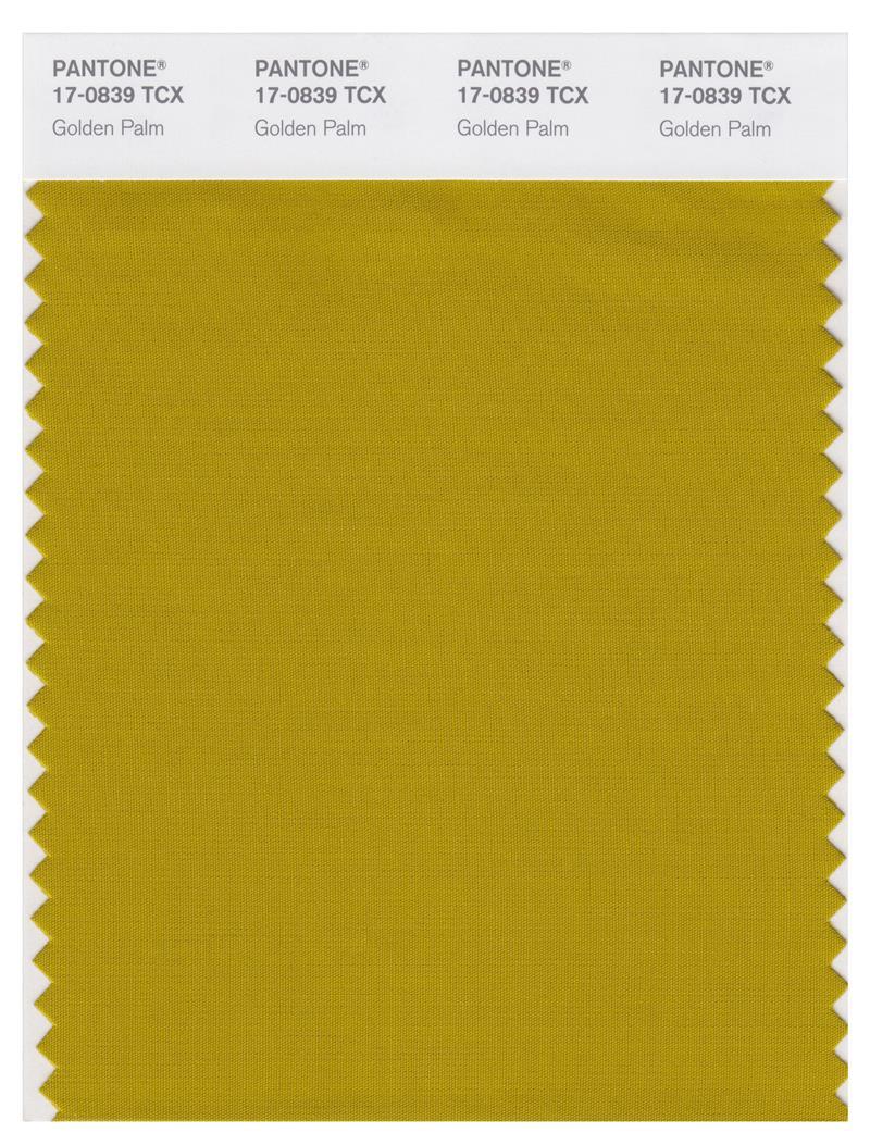 Pantone Smart 17-0839 TCX Color Swatch Card | Golden palm