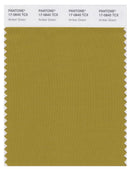 Pantone Smart 17-0840 TCX Color Swatch Card | Amber Green