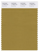 Pantone Smart 17-0843 TCX Color Swatch Card | Bronze Mist