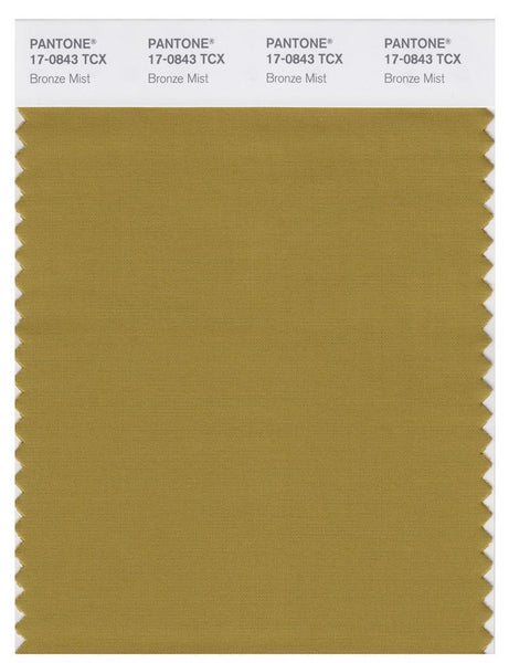 PANTONE 色見本 FASHION,,INTERIORS Pantone Smart 17-0843 TCX Color Swatch Card | Bronze Mist