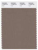 Pantone Smart 17-0909 TCX Color Swatch Card | Fossil