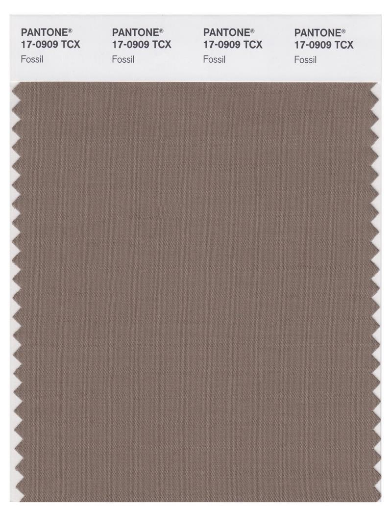 Pantone Smart 17-0909 TCX Color Swatch Card | Fossil