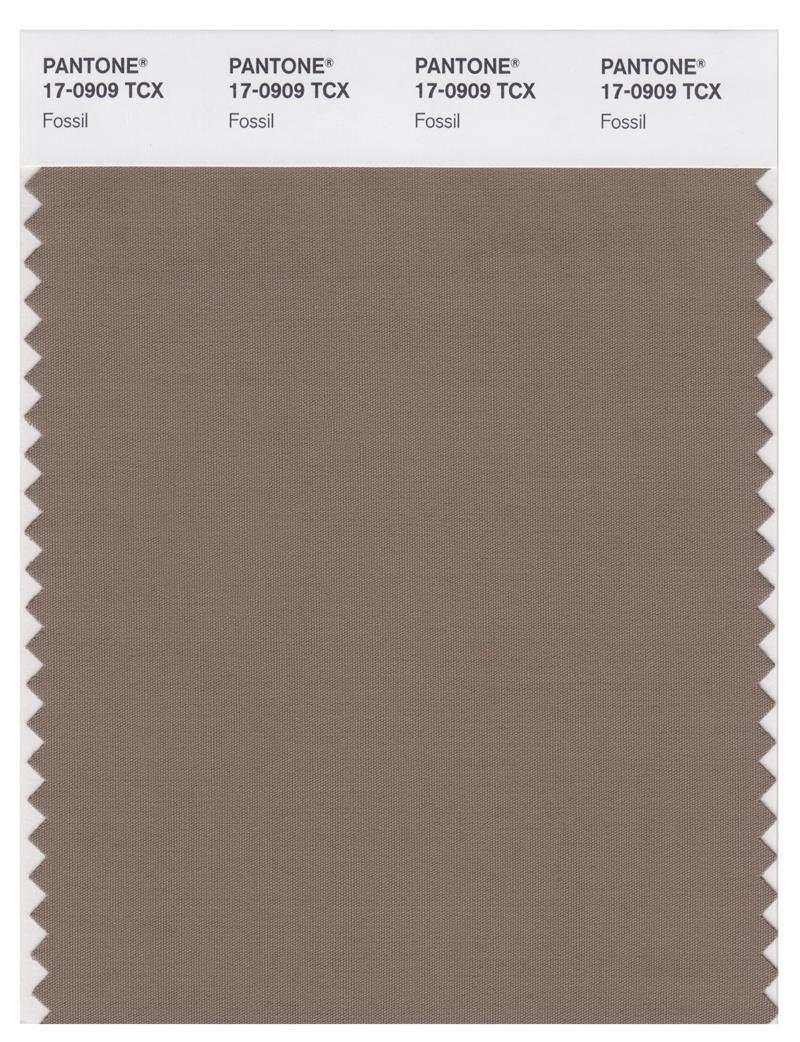 Pantone Smart 17-0909 TCX Color Swatch Card | Fossil