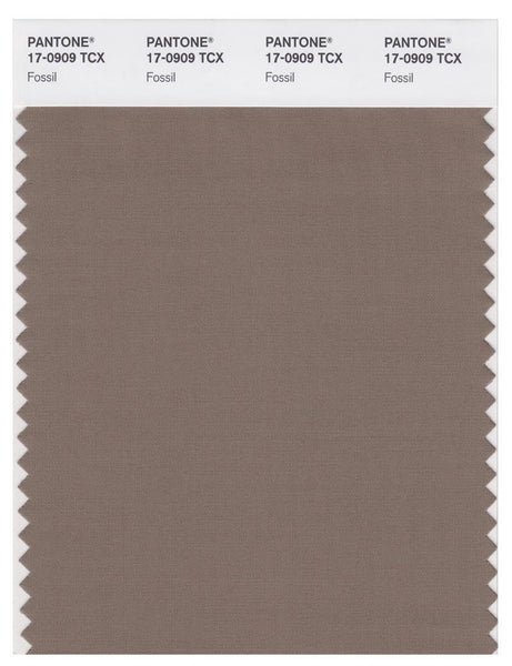 PANTONE 色見本 FASHION,,INTERIORS 17-0909_fossil_1_grande.jpg?v=