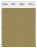 Pantone Smart 17-0929 TCX Color Swatch Card | Fennel Seed