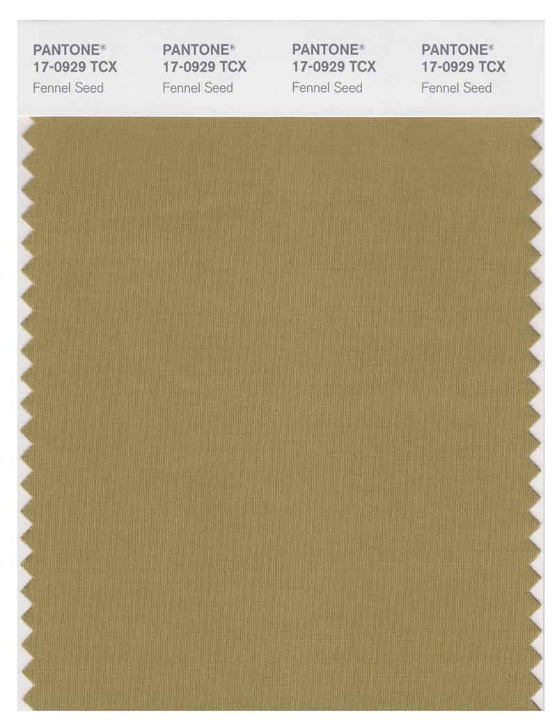 Pantone Smart 17-0929 TCX Color Swatch Card | Fennel Seed