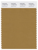 Pantone Smart 17-0942 TCX Color Swatch Card | Medal Bronze