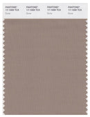 Pantone Smart 17-1009 TCX Color Swatch Card | Dune