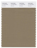 Pantone Smart 17-1019 TCX Color Swatch Card | Elmwood