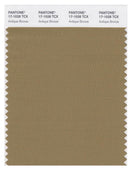 Pantone Smart 17-1028 TCX Color Swatch Card | Antique Bronze