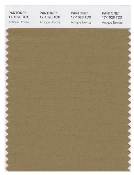 Pantone Smart 17-1028 TCX Color Swatch Card | Antique Bronze