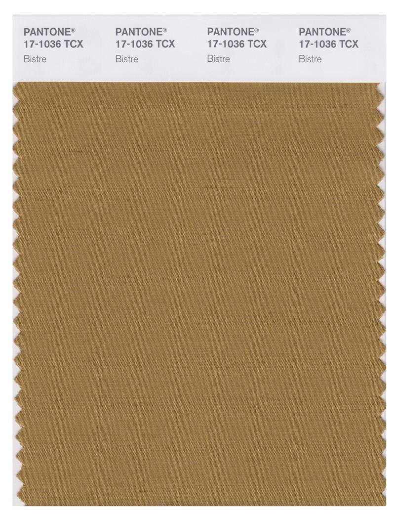 Pantone Smart 17-1036 TCX Color Swatch Card | Bistre | Magazine