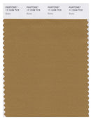 Pantone Smart 17-1036 TCX Color Swatch Card | Bistre
