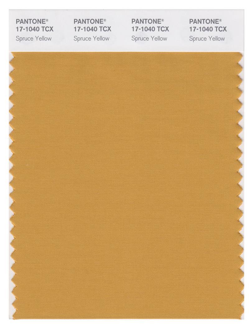 Pantone Smart 17-1040 TCX Color Swatch Card | Spruce Yellow
