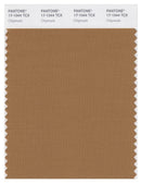 Pantone Smart 17-1044 TCX Color Swatch Card | Chipmunk