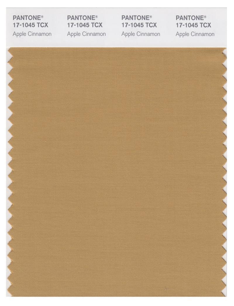 Pantone Smart 17-1045 TCX Color Swatch Card | Apple Cinnamon | Magazine ...