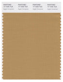 Pantone Smart 17-1045 TCX Color Swatch Card | Apple Cinnamon