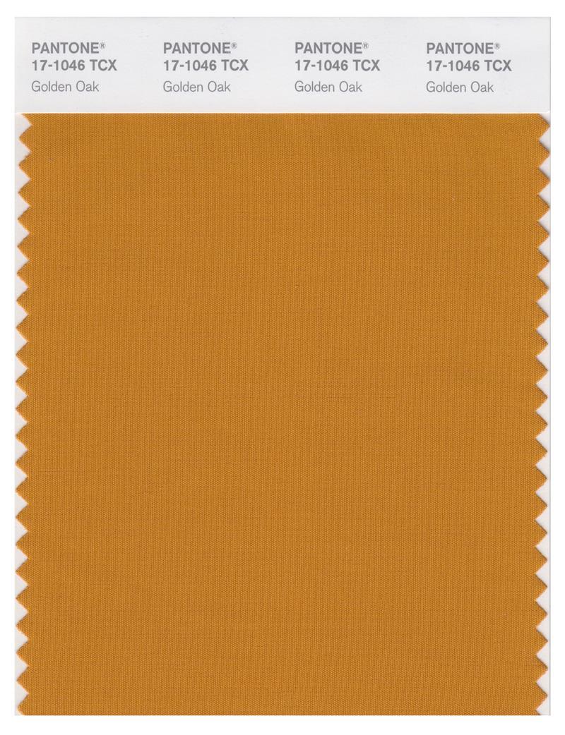 Pantone Smart 17-1046 TCX Color Swatch Card | Golden Oak