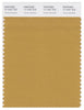 Pantone Smart 17-1047 TCX Color Swatch Card | Honey Mustard