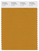 Pantone Smart 17-1048 TCX Color Swatch Card | Inca Gold