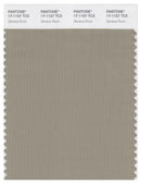 Pantone Smart 17-1107 TCX Color Swatch Card | Seneca Rock
