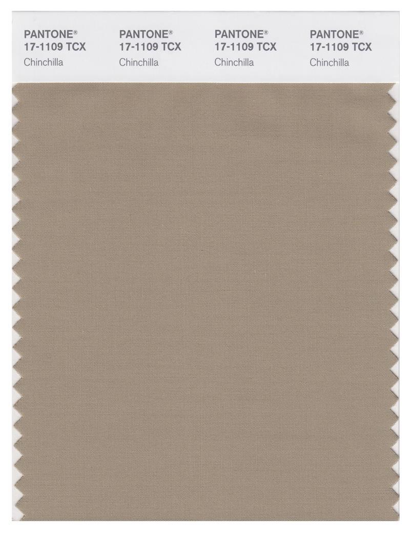 Pantone Smart 17-1109 TCX Color Swatch Card | Chinchilla