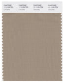 Pantone Smart 17-1109 TCX Color Swatch Card | Chinchilla