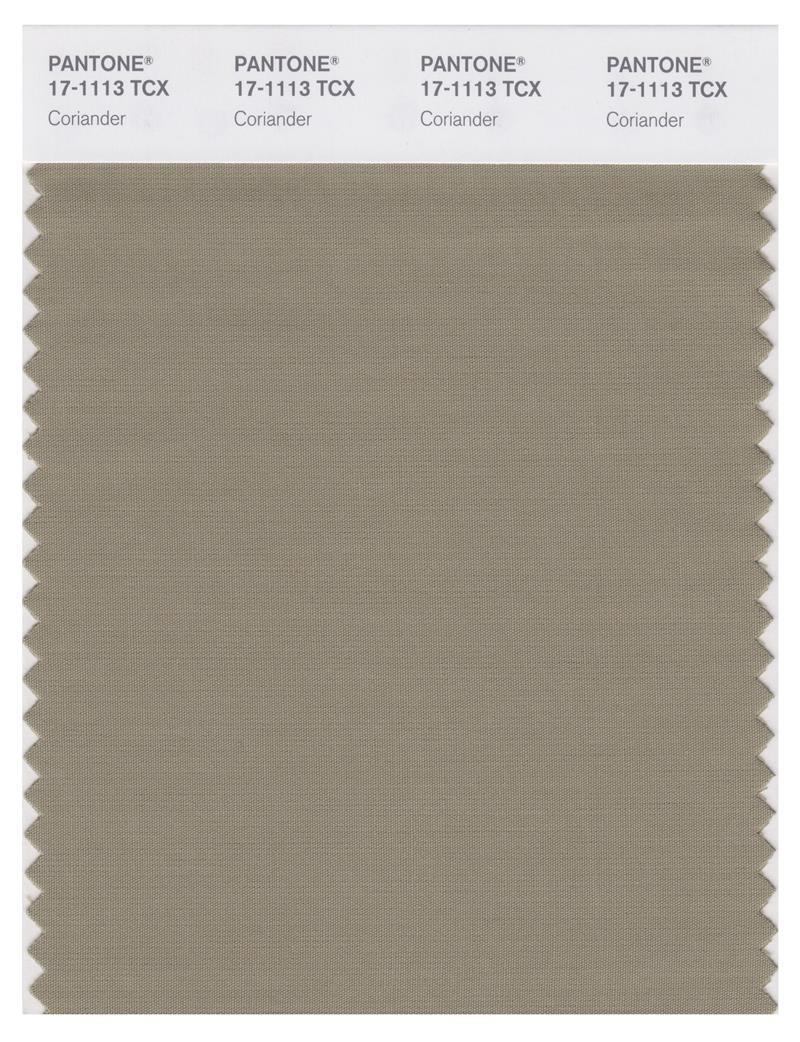 17-1113_coriander_1.jpg?v=