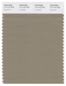 Pantone Smart 17-1113 TCX Color Swatch Card | Coriander