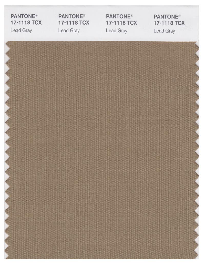 Pantone Smart 17-1118 TCX Color Swatch Card | Lead Gray | Magazine Cafe ...
